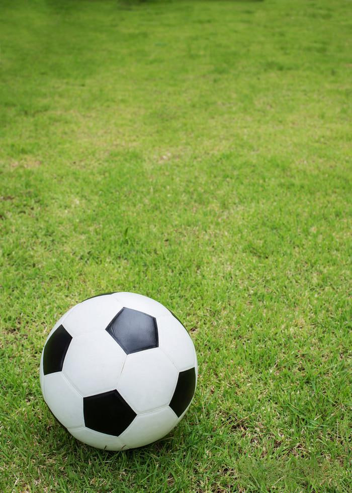 多博彩公司赔率对比功能